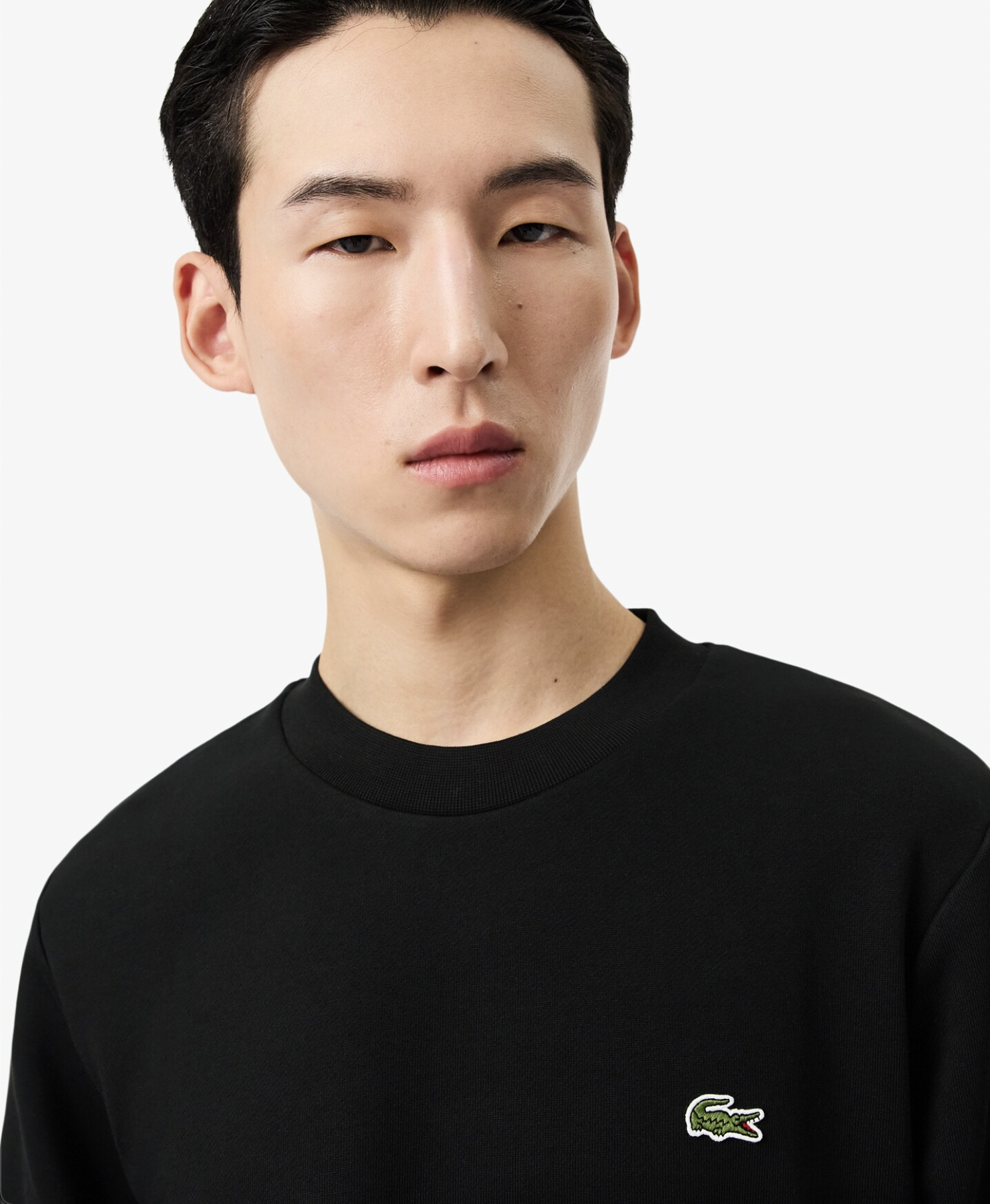 Lacoste Lacoste Felpa in tessuto felpato classic fit — 10/14