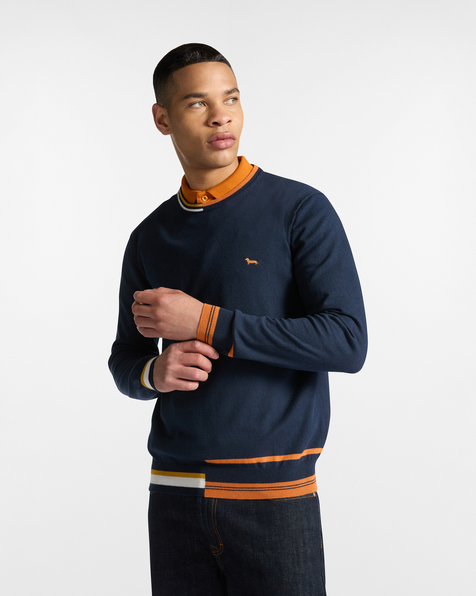 HARMONT& BLAINE Harmont& Blaine Pullover Misto Lana Con Righe — 4/4