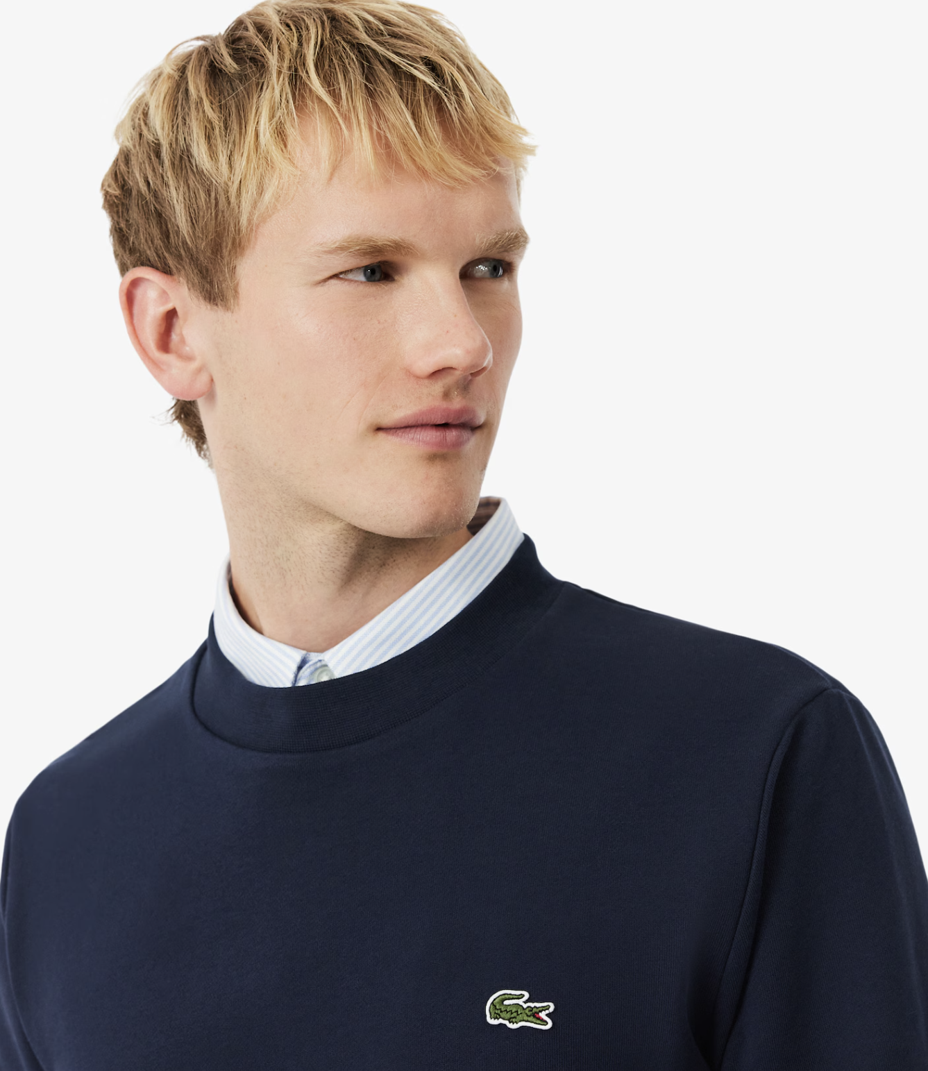 Lacoste Lacoste Felpa in tessuto felpato classic fit — 4/14